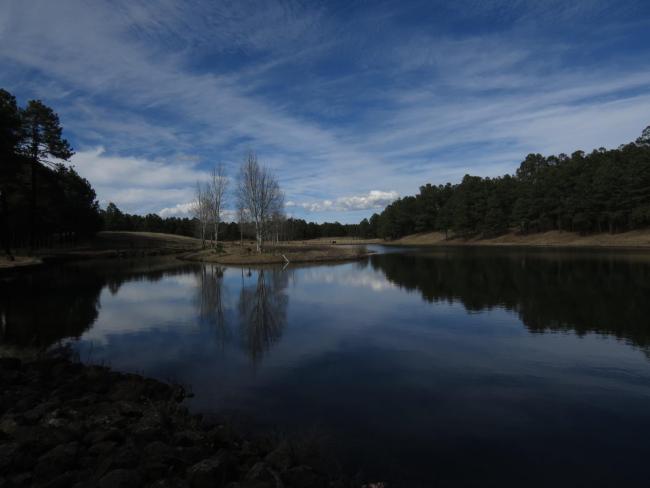 Presa Díaz