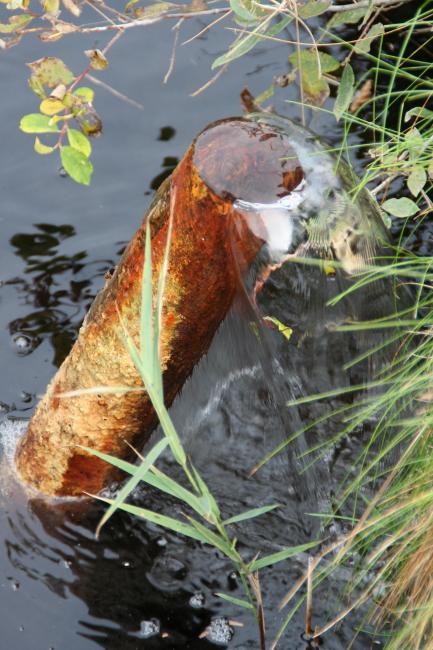 Puits artésien dans les Marais de Sacy