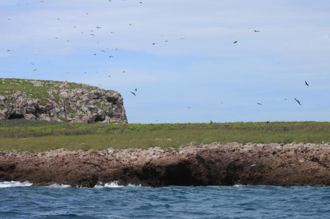 Islas Marietas