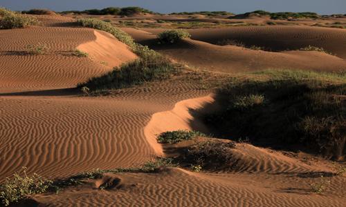 Dunas