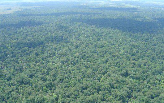 El Refugio de Vida Silvestre Caño Negro fue el primer sitio designado como Humedal de Importancia Internacional (junto con Palo Verde) en Costa Rica, el 27 de diciembre de 1991. Esta reserva mixta está compuesta por varios lagos y lagunas permanentes y temporales, humedales boscosos y zonas inundadas. Su área de 9.969 ha es apenas una fracción de un sistema mayor de humedales con similares características.  
