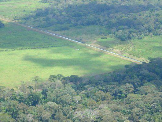 Drenajes artificiales secan tierras inundadas para su utilización como nuevos campos para ganadería