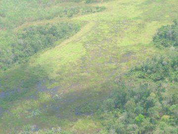 El Refugio de Vida Silvestre Caño Negro fue el primer sitio designado como Humedal de Importancia Internacional (junto con Palo Verde) en Costa Rica, el 27 de diciembre de 1991. Esta reserva mixta está compuesta por varios lagos y lagunas permanentes y temporales, humedales boscosos y zonas inundadas. Su área de 9.969 ha es apenas una fracción de un sistema mayor de humedales con similares características.  
