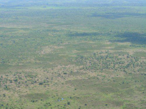 Los campos sin cobertura boscosa son especialmente vulnerables a incendios (tales como los ocurridos en el año 2003), así como las llanuras debido a la gran cantidad de materia orgánica contenida en el subsuel