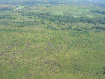 El Refugio de Vida Silvestre Caño Negro fue el primer sitio designado como Humedal de Importancia Internacional (junto con Palo Verde) en Costa Rica, el 27 de diciembre de 1991. Esta reserva mixta está compuesta por varios lagos y lagunas permanentes y temporales, humedales boscosos y zonas inundadas. Su área de 9.969 ha es apenas una fracción de un sistema mayor de humedales con similares características.  
