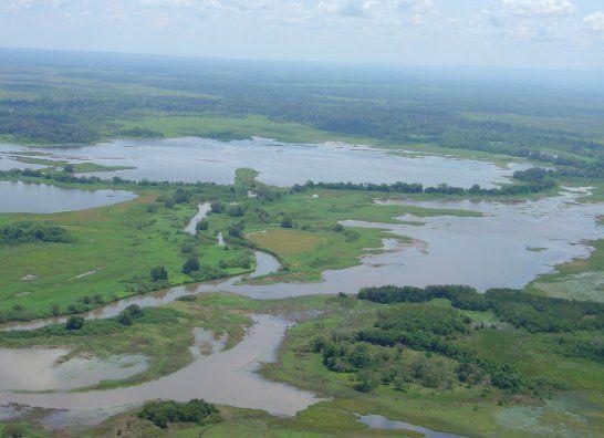Junto con el Río Mónico, el Río Frío es el río de mayor caudal en el área, y principal abastecedor del Lago Caño Negro