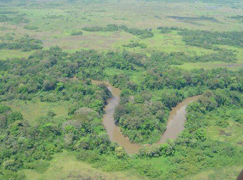 Caño Negro se destaca también por ser un sitio predilecto de las aves, incluyendo numerosas migratorias