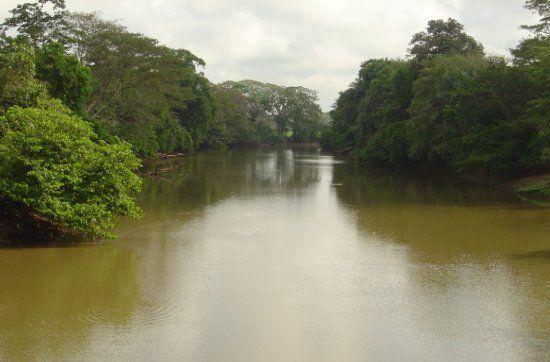 Caño Negro se destaca también por ser un sitio predilecto de las aves, incluyendo numerosas migratorias