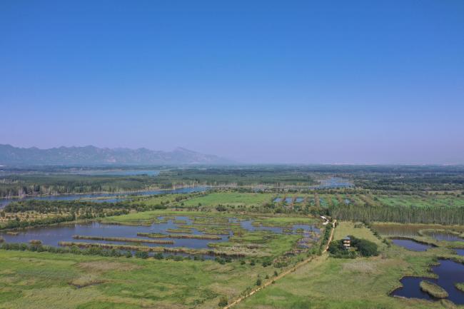 Landscape of Yeya Lake Wetland