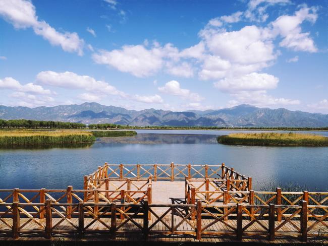 Landscape of Yeya Lake Wetland