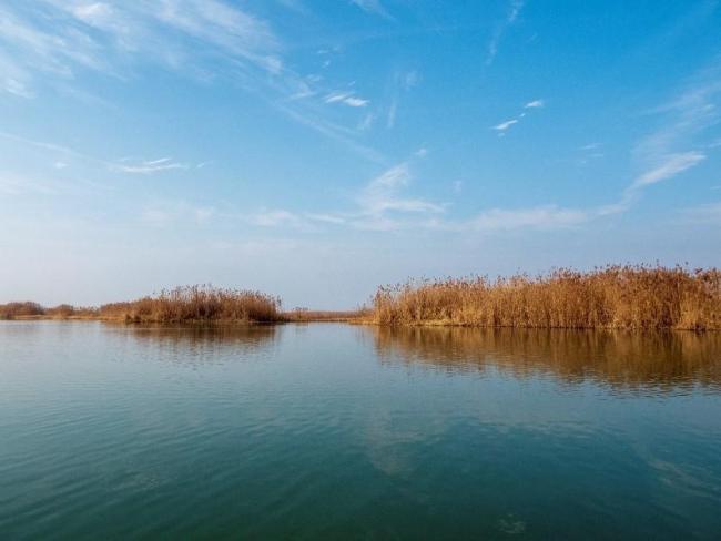 Baima Lake Wetland