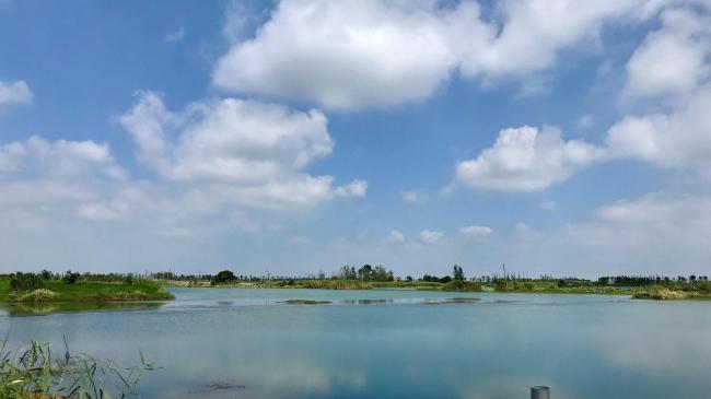 Lake charm