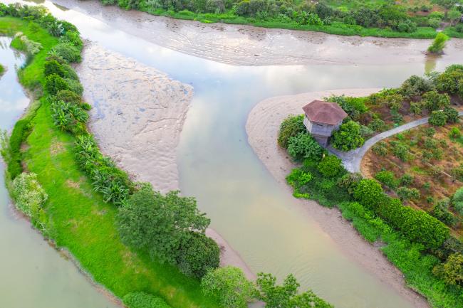 Mudflats emerged with the tidal action of Pearl River Estuary