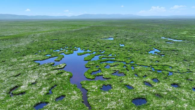 The Nilaba wetlands
