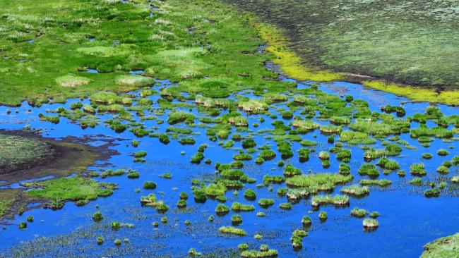 The Nilaba wetlands