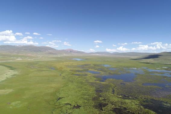 Longbaotan Wetlands, Summer