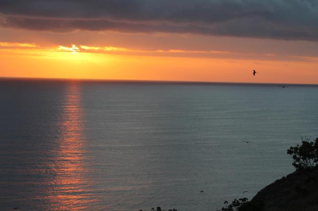 Atardecer en el Parque Nacional Isla Isabel