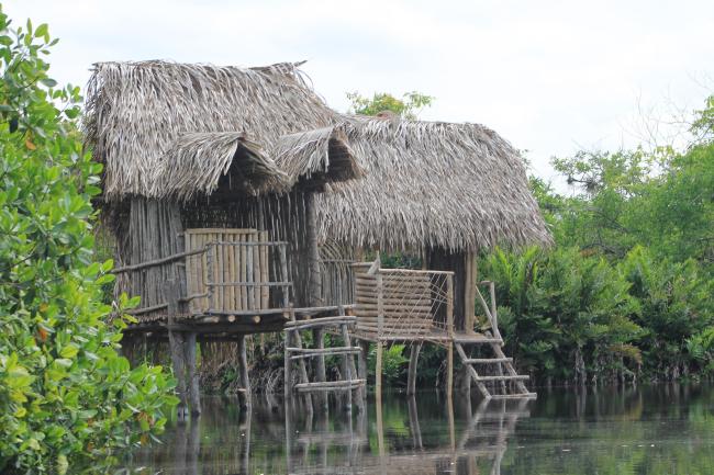 Sito Ramsar La Tovara