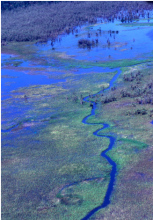 Aerial view of the Parado Lagoon, Guaratuba Environmental Protection Area, Paraná state, Brazil. Photo: Roberto Bóçon.