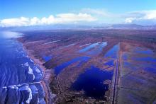 Lame di Fuori Natural Reserve – Massaciuccoli Ramsar Site