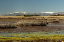Laguna Grande de Beleña. Panorámica.