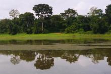 View of the lake