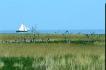 Inicio Servicio de Informaci n - 1246%20Ijselmeer 