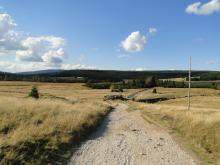 peatland on Izera River