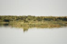 Lake Julturbas
