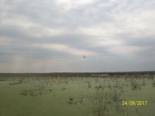 Laguna Grande