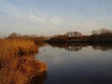 The lake surface in winter
