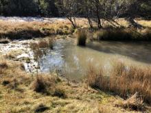 Ginini  waterway 1