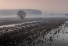Sunrise on the trails of Bosco di TanaliFulvio 