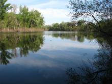 An oxbow lake of the river Tisza at Mártély