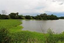 Lac