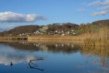 Klingnauer Stausee