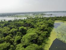 Landscape after rainy
season.