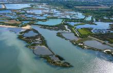 Parc ornithologique