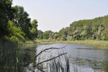 The old riverbed of the Dráva River at Szaporca in summer