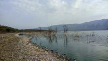 Vegetation submerged in the water indicating rise in water levels