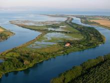 Cona Island's photo with regeneration areas. The fresh and brackish water marshes along the river, barren, high tide velvet and open sea in the background.