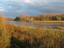 The Nyéki Holt-Duna (oxbow) at Gemenc in autumn