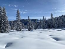 Paysage hivernal