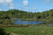 Looking west over Spittal Pond