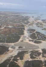 Aerial view showing areas of exposed rock and sandy gullies within the South East Coast of Jersey Ramsar site with pacific oyster beds in the foreground