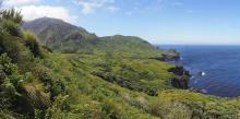 Kate Lawrence (rspb-images.com) - Gough Island World Heritage Site, South Atlantic, December 2017 Kate Lawrence (rspb-images.com) - Gough Island World Heritage Site, South Atlantic, December 2017
