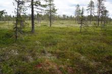 Brumundsjøen-Harasjømyra
