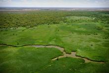 Macquarie Marshes