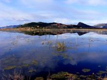 Marjal de Almenara. Panorámica de las lagunas someras 