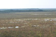 Open part with bog pool labyrinths of Teici mire system. Unchanged, virgin state of ecosystem.
